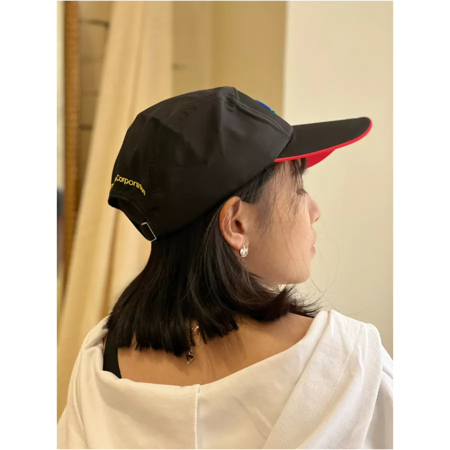 六片設計剪接立體繡帽